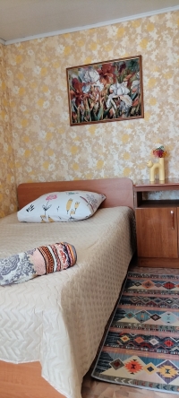 Частный дом на Северной