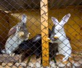 Частный сектор на ул. Овражная