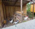 Частный сектор на ул. Овражная