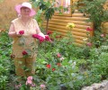 Частный сектор на ул. Кооперативной