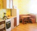 Однокомнатная квартира на Пионерском проспекте дом 255