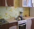 Однокомнатная квартира на Пионерском проспекте дом 255