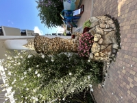 Гостевой дом «Николь»