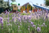 База отдыха «Русалочка»