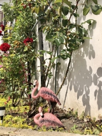 Гостевой дом «Фламинго»