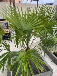 Гостевой дом «Ангел у моря»