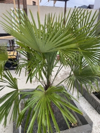 Гостевой дом «Ангел у моря»