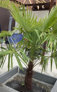 Гостевой дом «Ангел у моря»