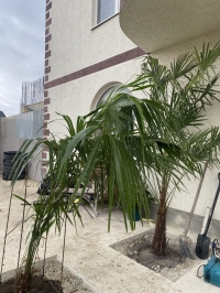 Гостевой дом «Ангел у моря»