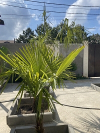 Гостевой дом «Ангел у моря»