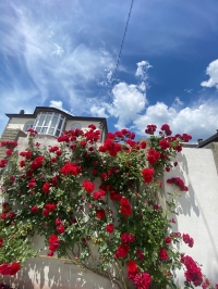 Гостевой дом «Ангел у моря»