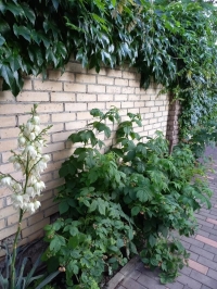 Частный сектор на проезде Береговом