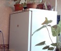 Двухкомнатная квартира на Крымской
